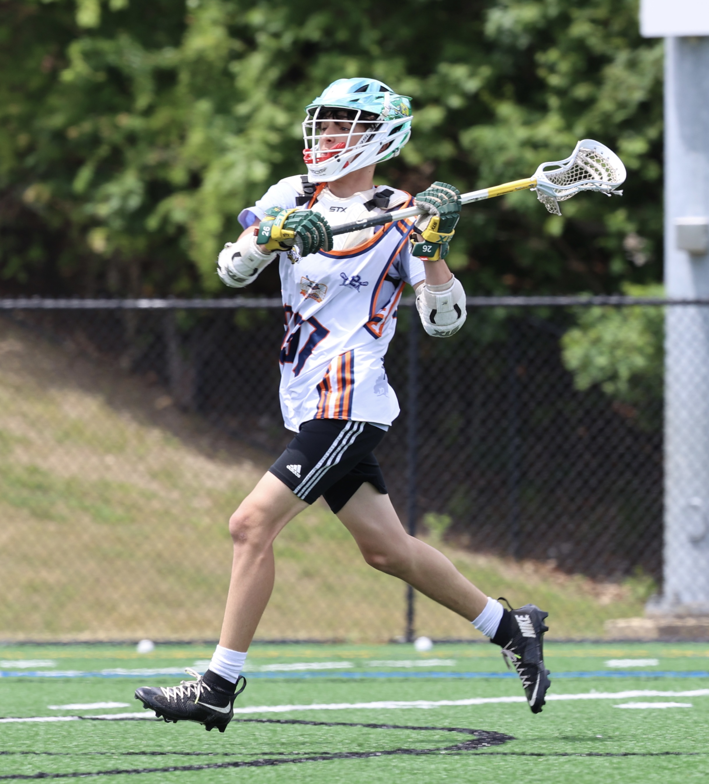 Lacrosse Action